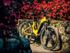 Himiway A7 Pro Commuter Electric Bike  Electric Bikes Paradise
