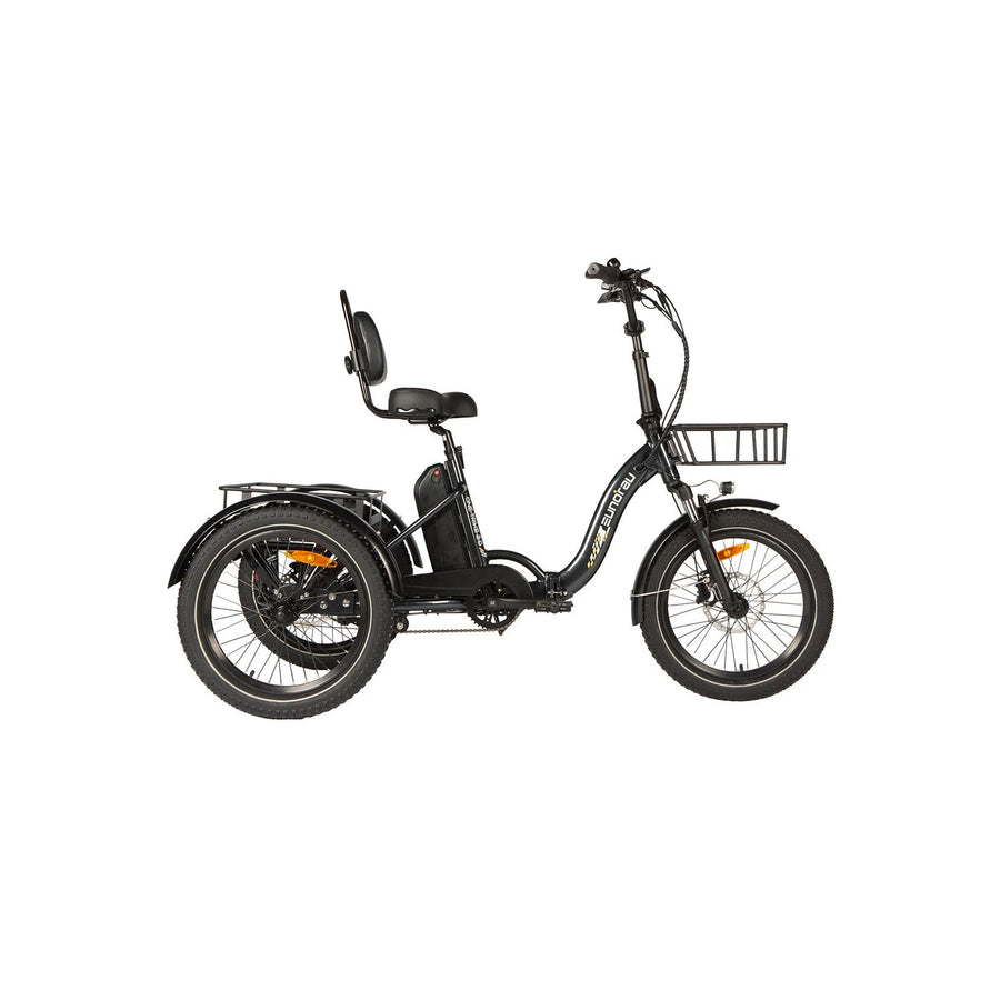 Eunorau ONE-TRIKE 2.0 Step-through Electric Trike