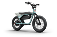 Himiway C1 Kids Electric Bike  Electric Bikes Paradise