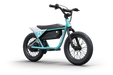 Himiway C1 Kids Electric Bike  Electric Bikes Paradise
