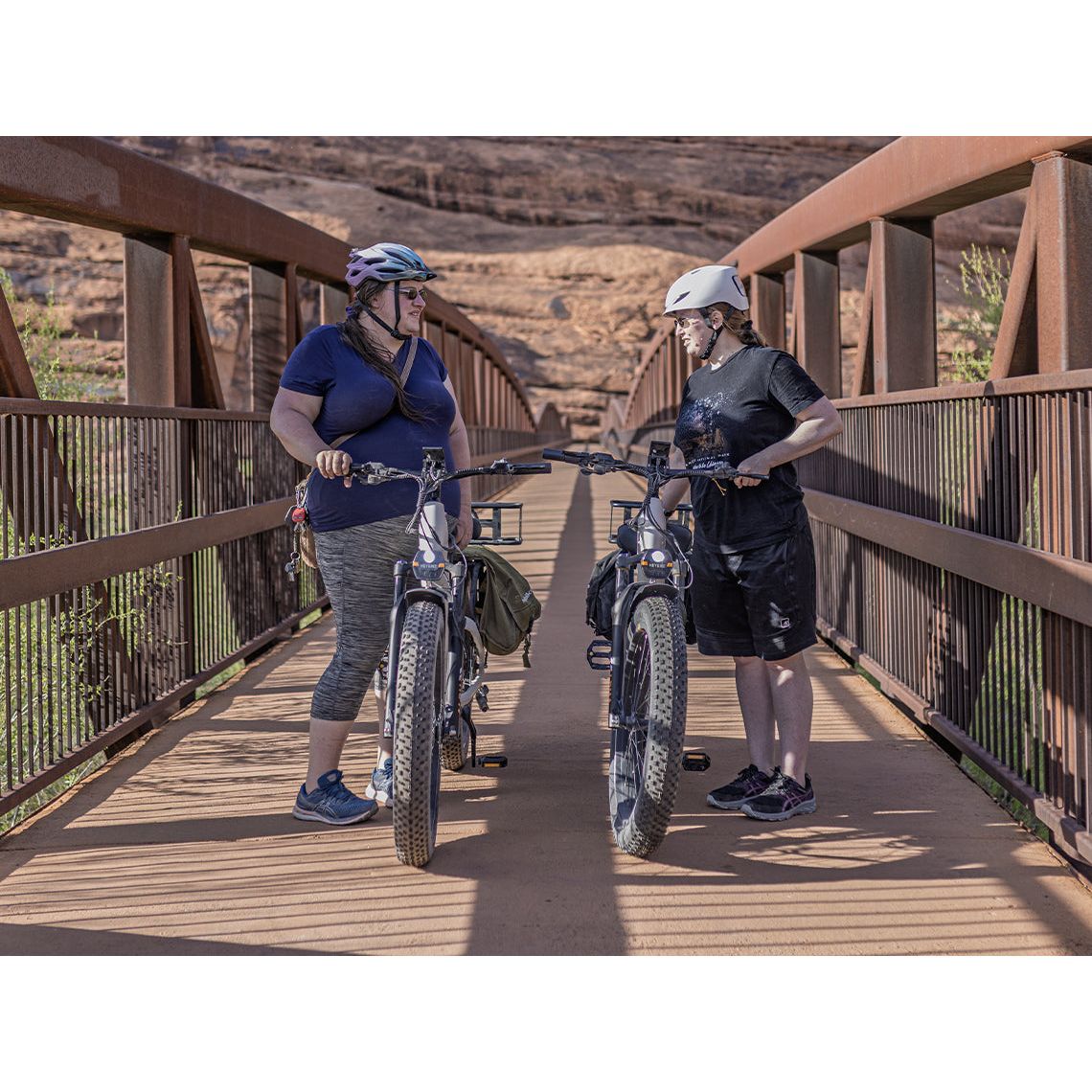 Heybike ALPHA 500W Mid-Drive Step-Thru Electric Bike