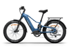 Himiway D5 2.0 Electric Fat Tire Bike  Electric Bikes Paradise