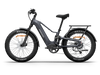 Himiway D5 2.0 Electric Fat Tire Bike  Electric Bikes Paradise