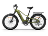 Himiway D5 2.0 Electric Fat Tire Bike  Electric Bikes Paradise