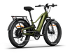 Himiway D5 2.0 Electric Fat Tire Bike  Electric Bikes Paradise