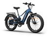 Himiway D5 2.0 Electric Fat Tire Bike  Electric Bikes Paradise