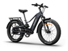 Himiway D5 2.0 Electric Fat Tire Bike  Electric Bikes Paradise