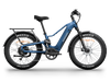 Himiway D5 2.0 Electric Fat Tire Bike  Electric Bikes Paradise