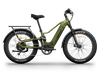 Himiway D5 2.0 Electric Fat Tire Bike  Electric Bikes Paradise