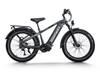 Himiway D5 Pro Electric Fat Tire Bike  Electric Bikes Paradise