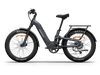Himiway D5 2.0 Step-Thru Electric Fat Tire Bike  Electric Bikes Paradise