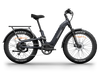 Himiway D5 2.0 Step-Thru Electric Fat Tire Bike  Electric Bikes Paradise