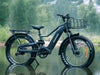 Himiway D5 2.0 Electric Fat Tire Bike  Electric Bikes Paradise