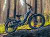 Himiway D5 2.0 Step-Thru Electric Fat Tire Bike  Electric Bikes Paradise