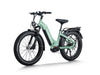 Himiway D5 Pro Step-Thru Electric Fat Tire Bike  Electric Bikes Paradise