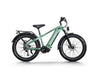 Himiway D5 Pro Electric Fat Tire Bike  Electric Bikes Paradise