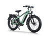 Himiway D5 Pro Electric Fat Tire Bike  Electric Bikes Paradise