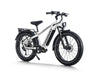 Himiway D5 Pro Electric Fat Tire Bike  Electric Bikes Paradise