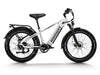 Himiway D5 Zebra Electric Fat Tire Bike  Electric Bikes Paradise