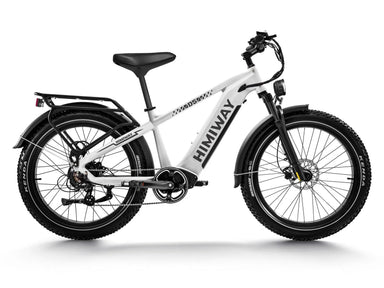 Himiway D5 Zebra Electric Fat Tire Bike  Electric Bikes Paradise