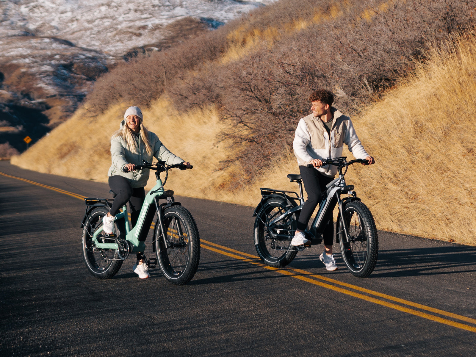 Himiway D5 Zebra Step-Thru Electric Fat Tire Bike  Electric Bikes Paradise