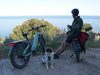 Himiway D5 Zebra Step-Thru Electric Fat Tire Bike  Electric Bikes Paradise