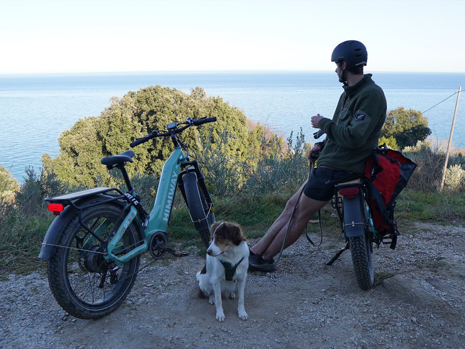 Himiway D5 Zebra Step-Thru Electric Fat Tire Bike  Electric Bikes Paradise