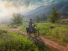 Himiway D5 Zebra Electric Fat Tire Bike  Electric Bikes Paradise