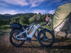 Himiway D5 Zebra Electric Fat Tire Bike  Electric Bikes Paradise