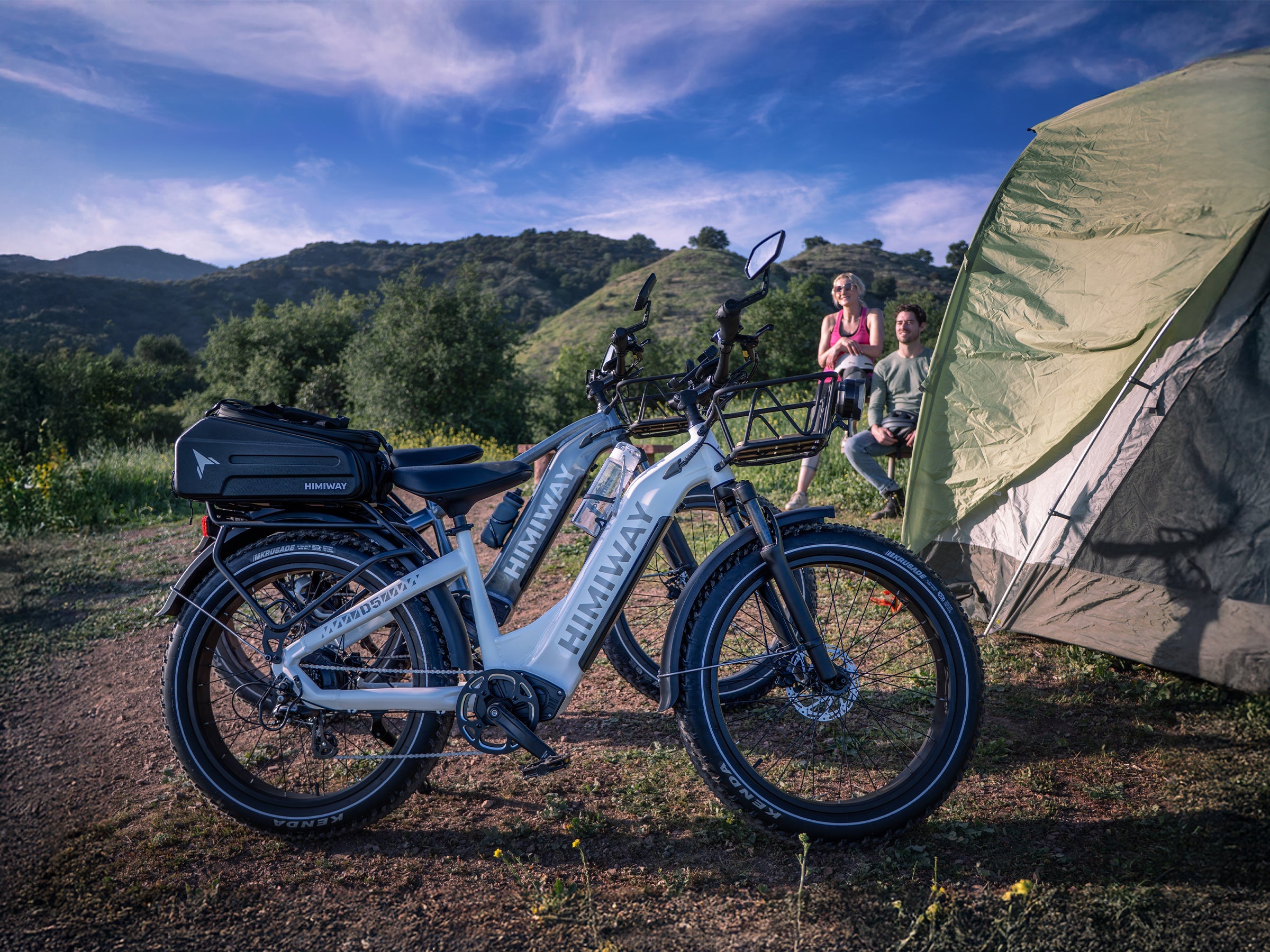 Himiway D5 Zebra Electric Fat Tire Bike  Electric Bikes Paradise