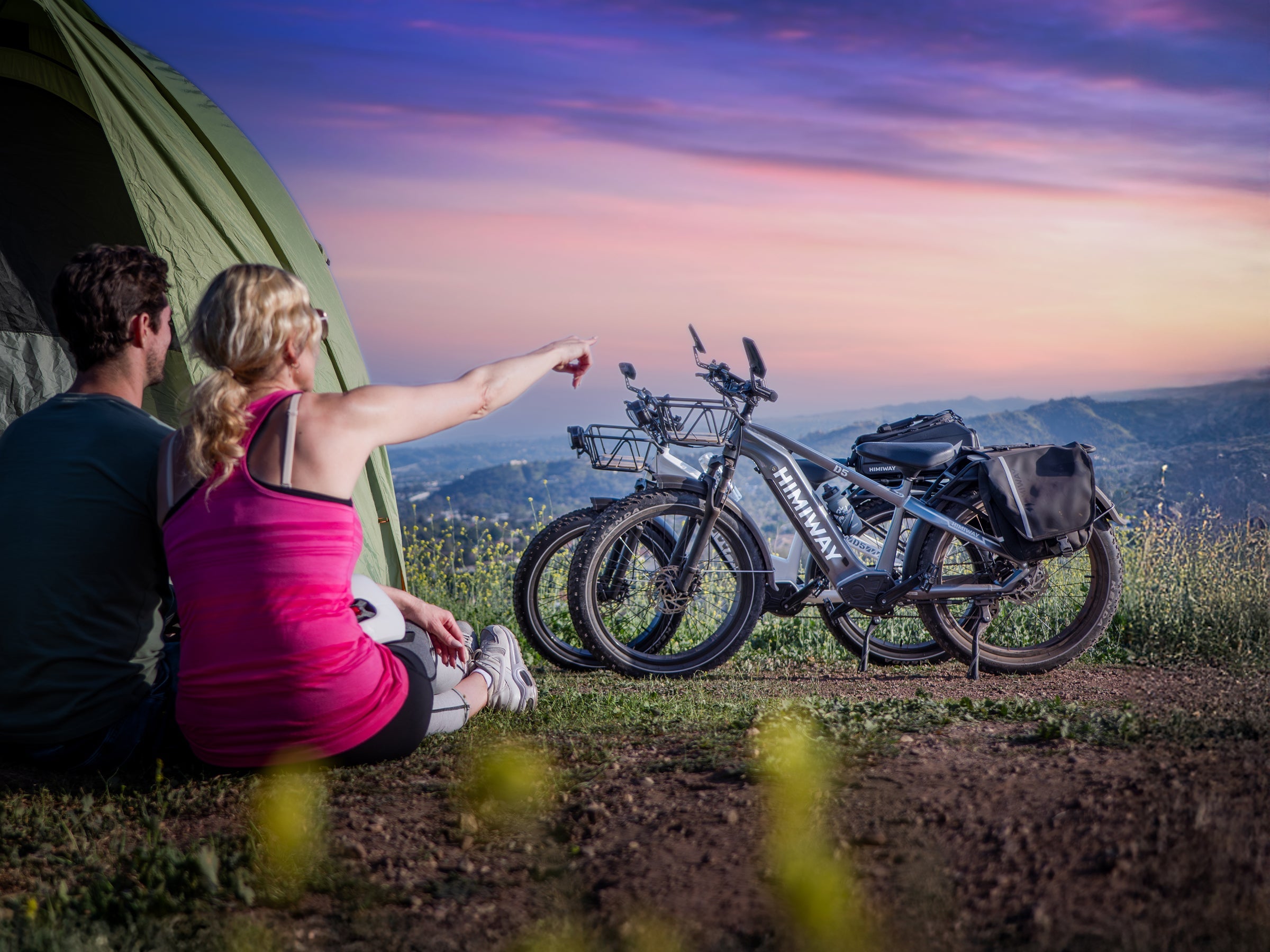 Himiway D5 Zebra Step-Thru Electric Fat Tire Bike  Electric Bikes Paradise