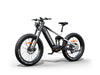 Himiway D7 Pro Electric Mountain Bike  Electric Bikes Paradise