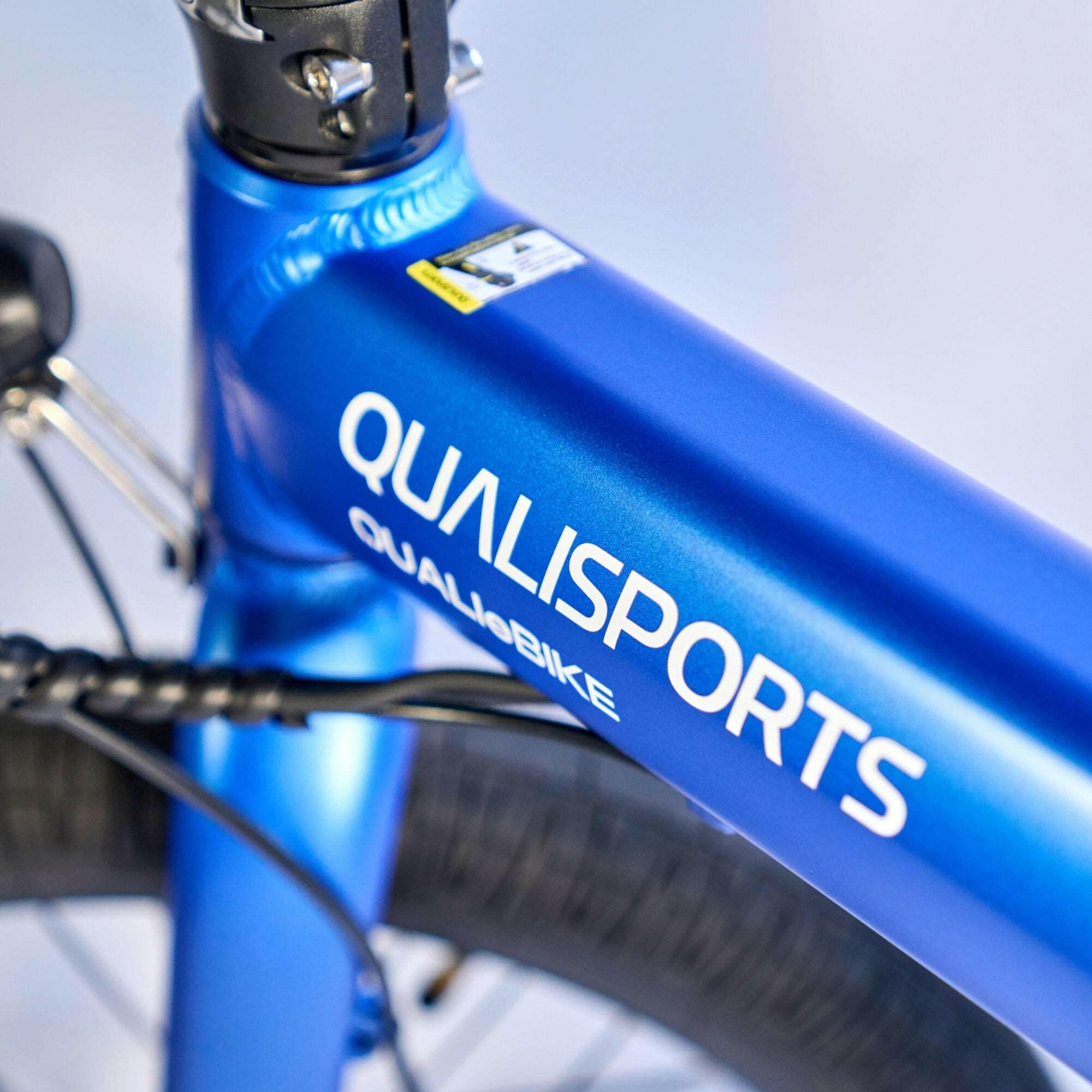 Qualisports Dolphin Folding Electric Bike  Electric Bikes Paradise
