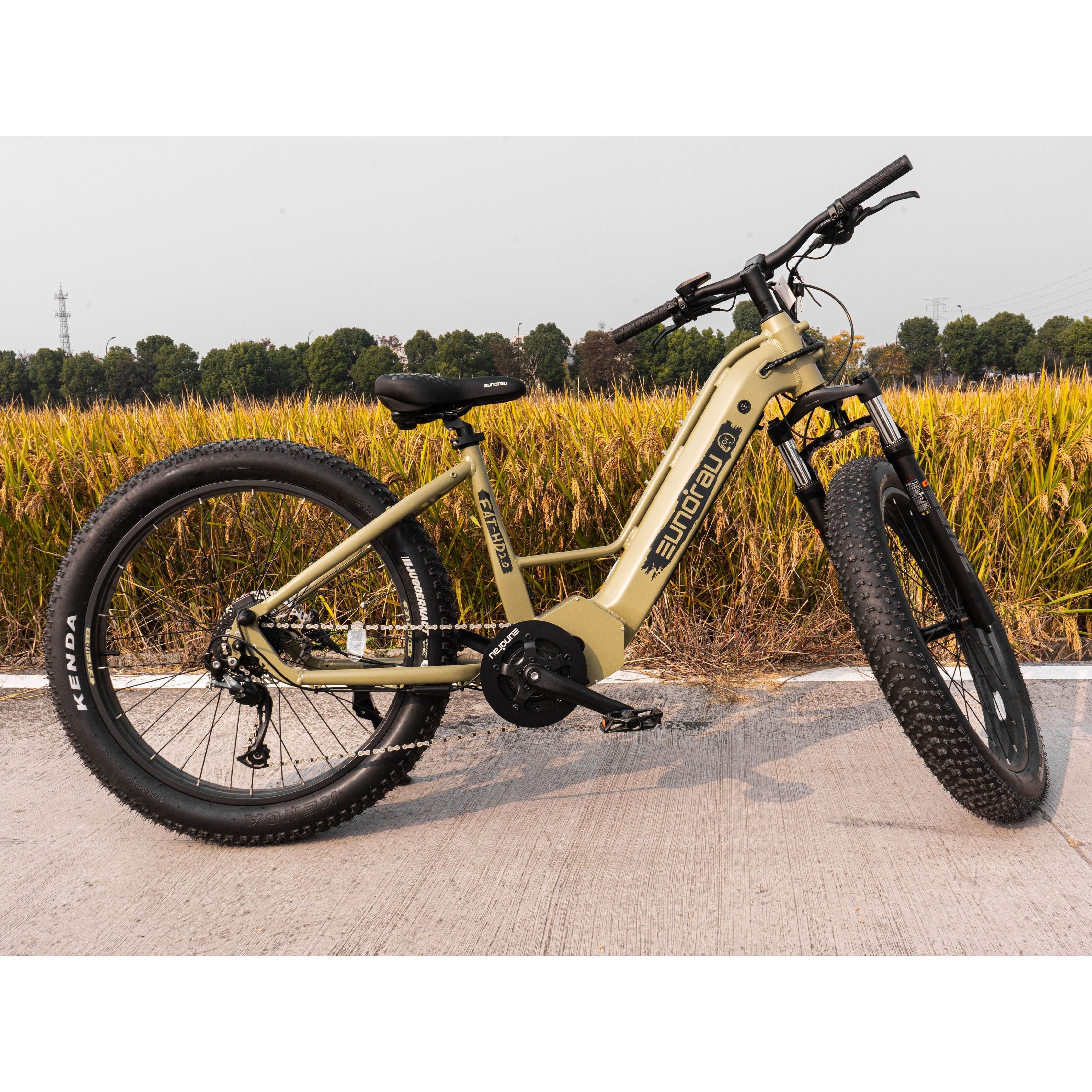 Eunorau Fat-HD 2.0 Hunting Electric Bike
