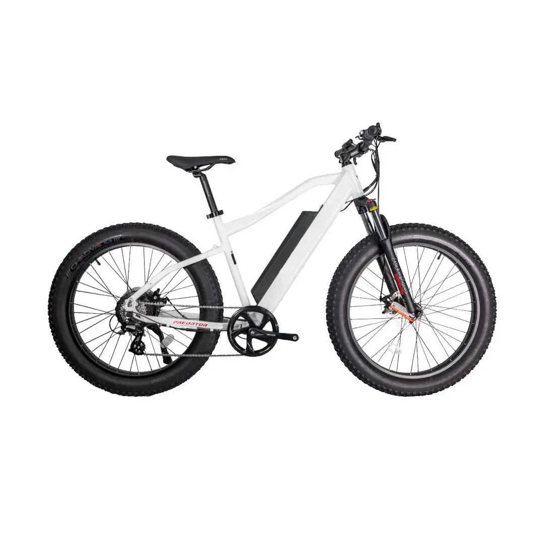 GlareWheel EB-PR Pro 750W 26-Inch Fat Tire Electric Mountain Bike