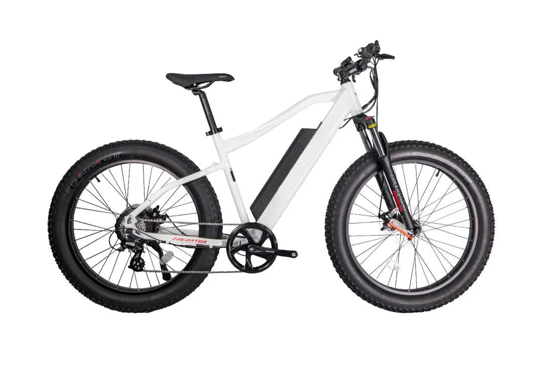 GlareWheel EB-PR Pro 750W 26-Inch Fat Tire Electric Mountain Bike