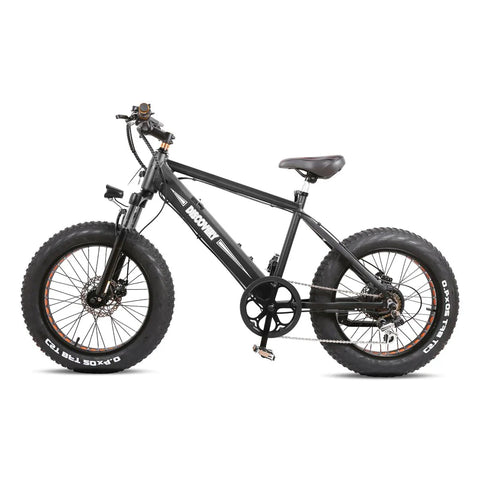 GlareWheel EB-X7 500W Fat Tire Electric Bike