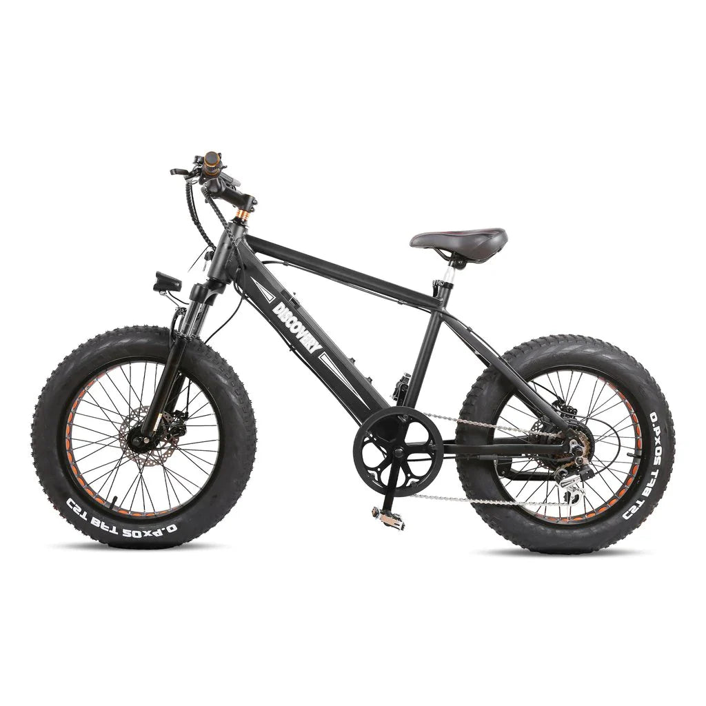 GlareWheel EB-X7 500W Fat Tire Electric Bike