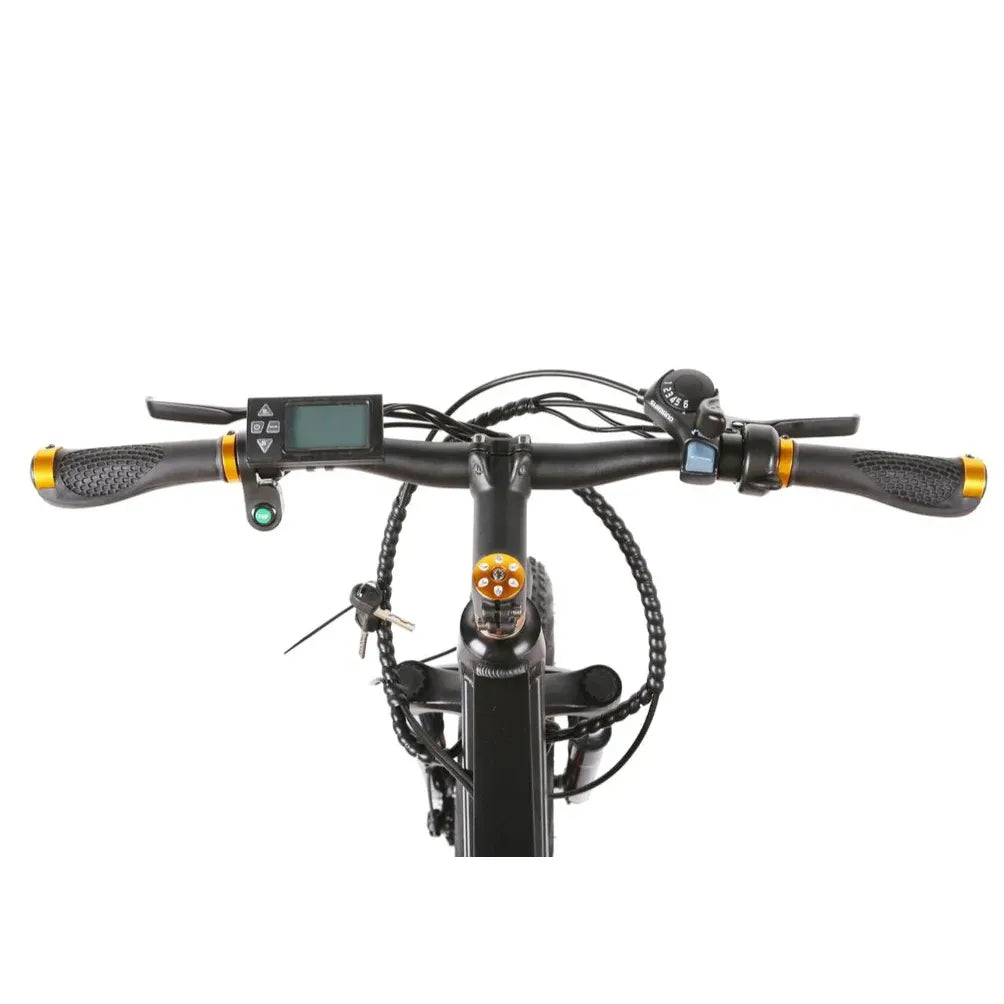 GlareWheel EB-X7 500W Fat Tire Electric Bike