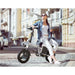 G-Force AE 400W 48V Mini Folding Electric Bike  Electric Bikes Paradise