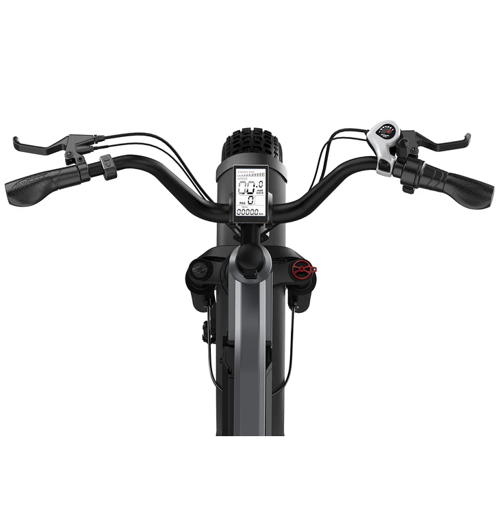 G-Force RS 750W 48V Premium All-Terrain Fat Tire Electric Bike