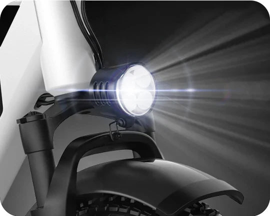 G-Force RS 750W 48V Premium All-Terrain Fat Tire Electric Bike