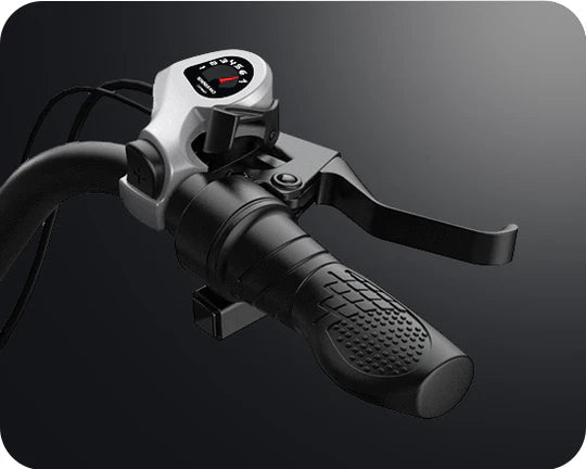 G-Force RS 750W 48V Premium All-Terrain Fat Tire Electric Bike
