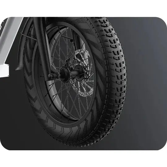G-Force RS 750W 48V Premium All-Terrain Fat Tire Electric Bike  Electric Bikes Paradise
