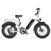 G-Force RS 750W 48V Premium All-Terrain Fat Tire Electric Bike  Electric Bikes Paradise