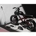 G-Force ZM 750W 48V Fat Tire Moped-Style Electric Bike  Electric Bikes Paradise