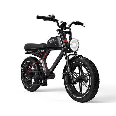 G-Force ZM 750W 48V Fat Tire Moped-Style Electric Bike  Electric Bikes Paradise