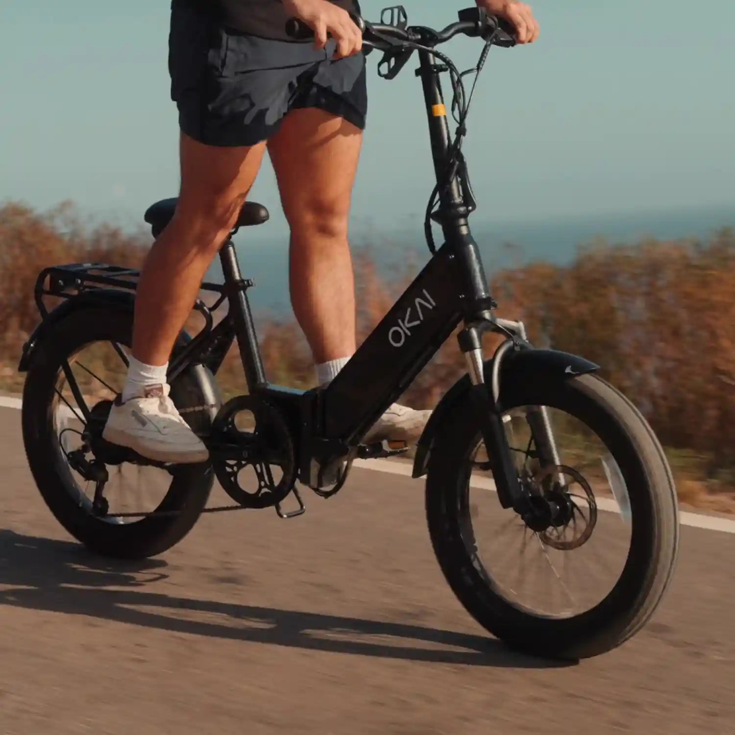 OKAI FlexMov EBF10 Lightweight Folding Fat Tire Electric Bike