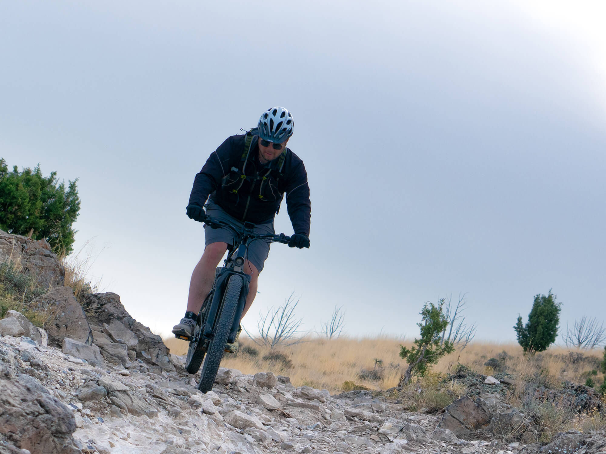 Velowave Forest XM Full Suspension Electric Mountain Bike