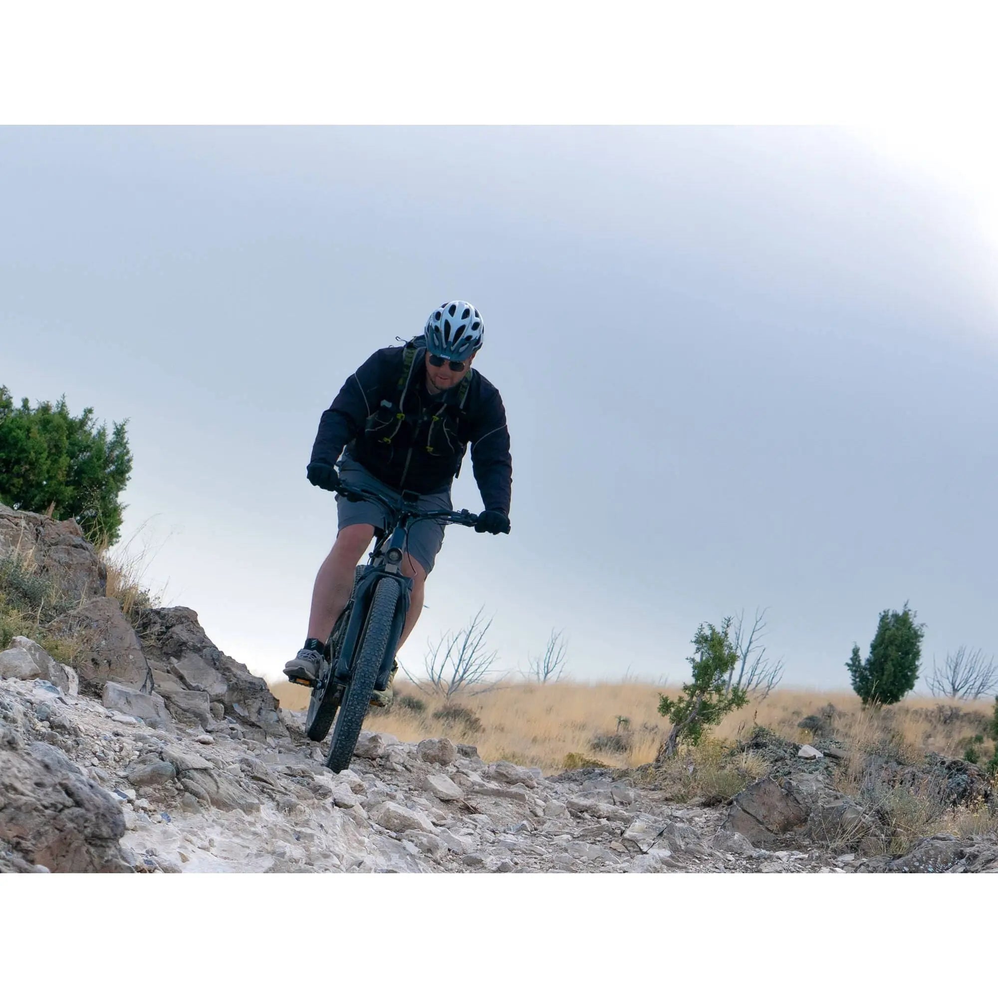 Velowave Forest XM Full Suspension Electric Mountain Bike 